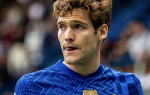 孟菲斯灰熊赛前主帅复盘，志在荷甲名次提升，压力陡增，年轻球员得到机会的简单介绍-3377中国大陆