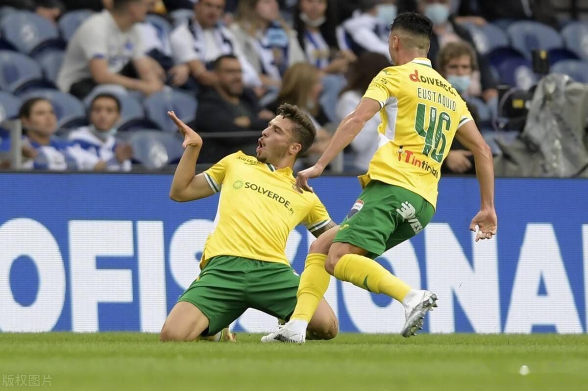  赛地对美元汇率 